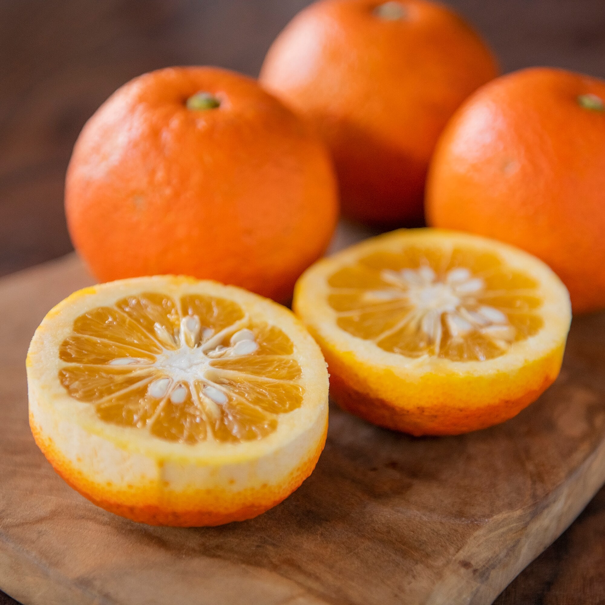 愛媛県産　無茶々園の「橙（ダイダイ）」サイズ混合・約１．５ｋｇ