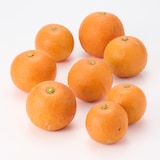 愛媛県産　無茶々園の「橙（ダイダイ）」サイズ混合・約１．５ｋｇ