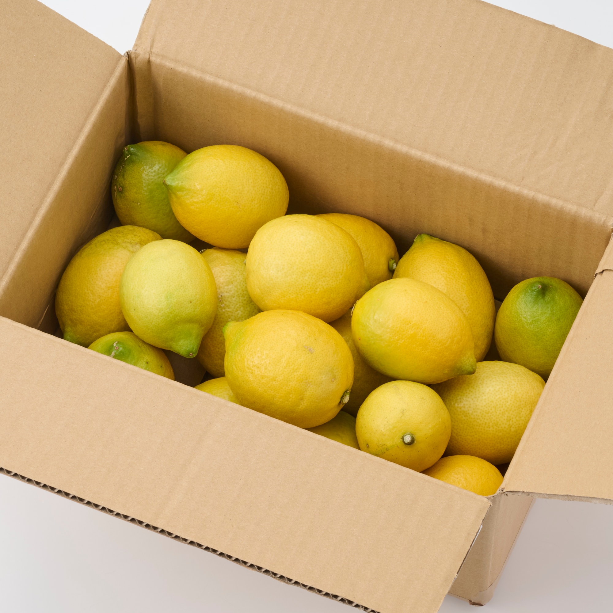 熊本河内産　うきこ農園の「レモン」 家庭用・約２ｋｇ