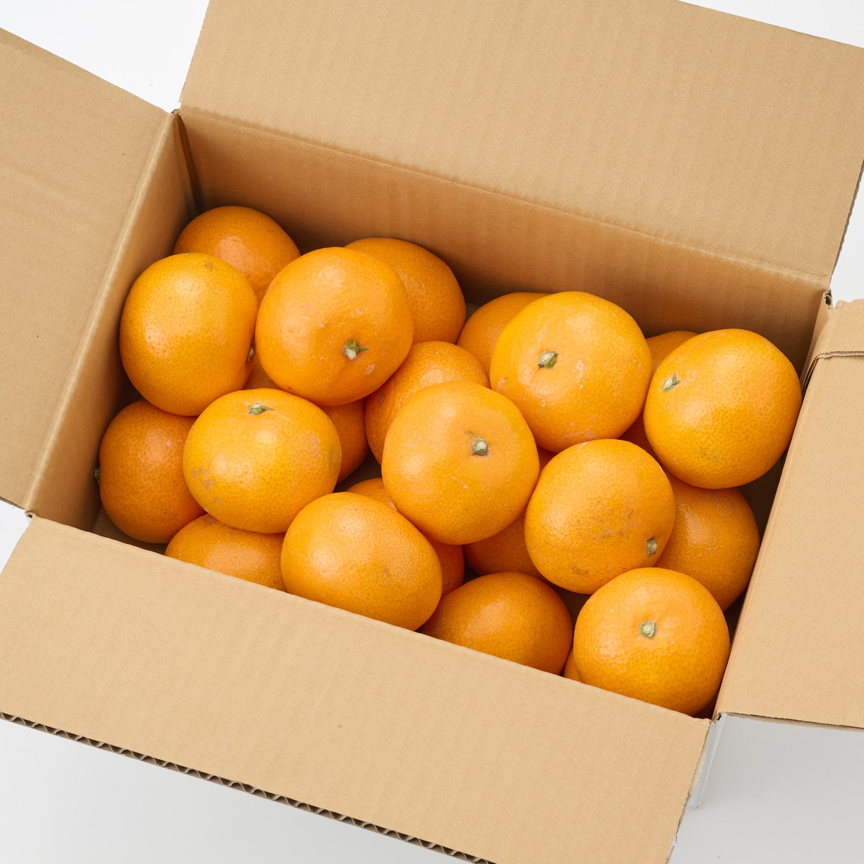 長崎県産 川口農園の「温州みかん」 家庭用・Ｍ～Ｌ混合 約３ｋｇ