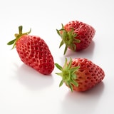 福井県産  パピィフルーツパークのいちご「章姫」4パック