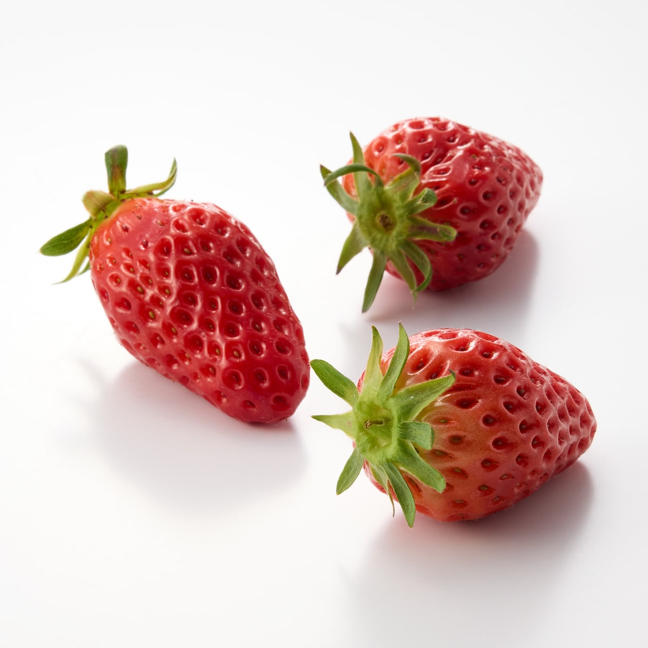 福井県産  パピィフルーツパークのいちご「章姫」4パック