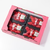 福井県産  パピィフルーツパークのいちご「章姫」4パック