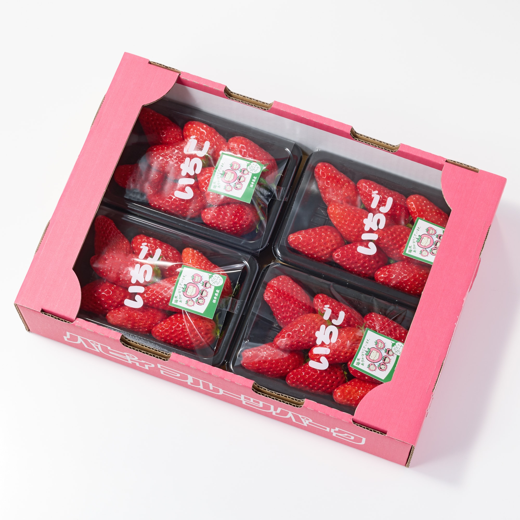 福井県産  パピィフルーツパークのいちご「章姫」4パック