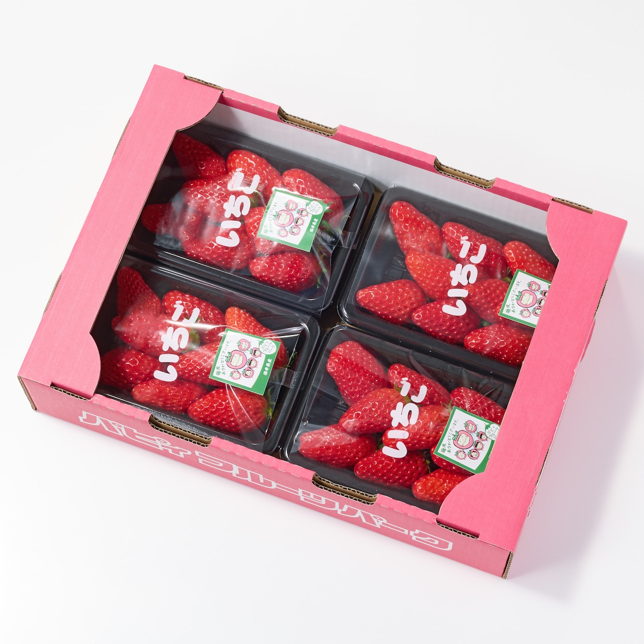 福井県産  パピィフルーツパークのいちご「章姫」4パック