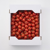 熊本県玉名市産　蘇鉄園芸のミニトマト「千果」　約２ｋｇ