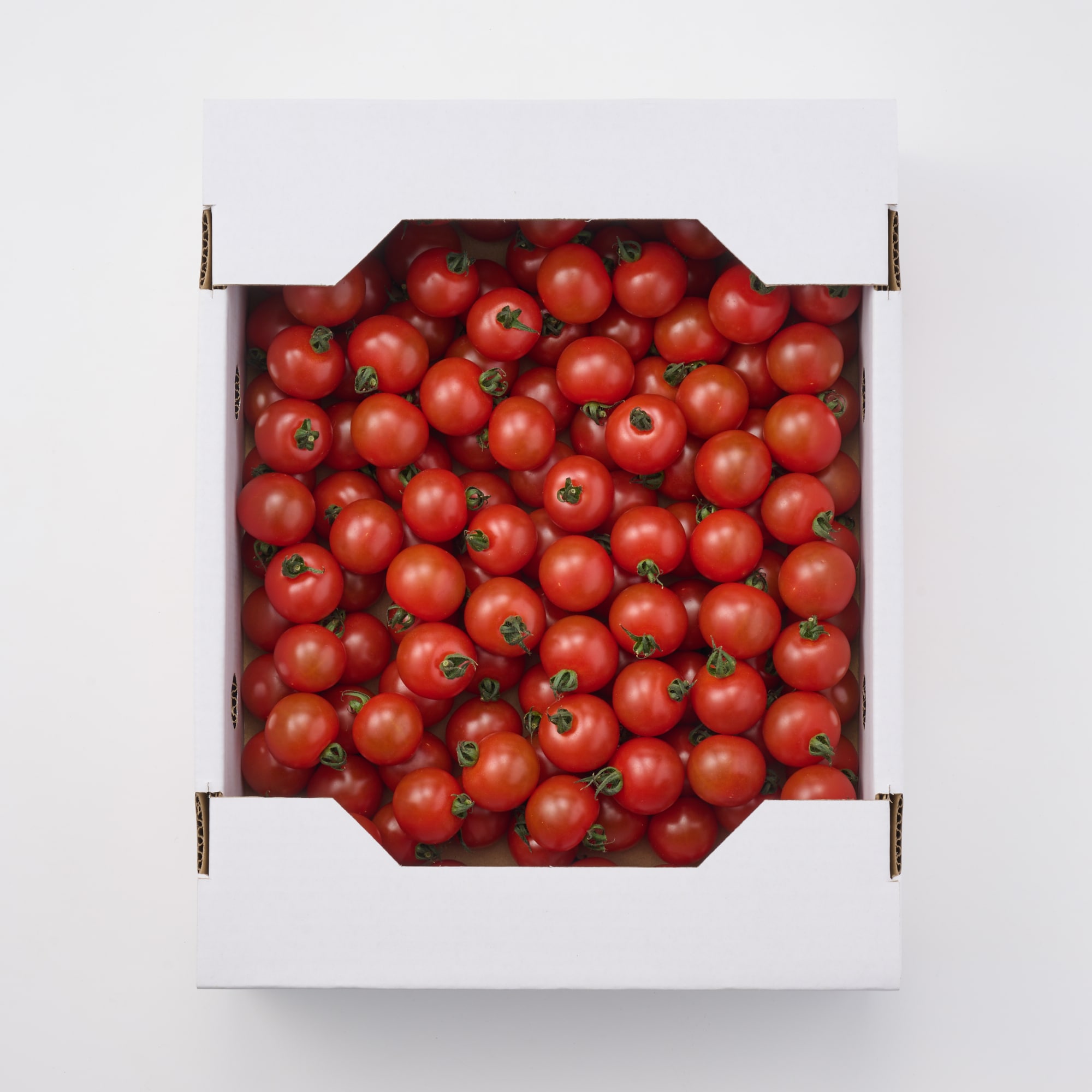 熊本県玉名市産　蘇鉄園芸のミニトマト「千果」　約２ｋｇ