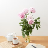 母の日　シャクヤクの花束　ピンク