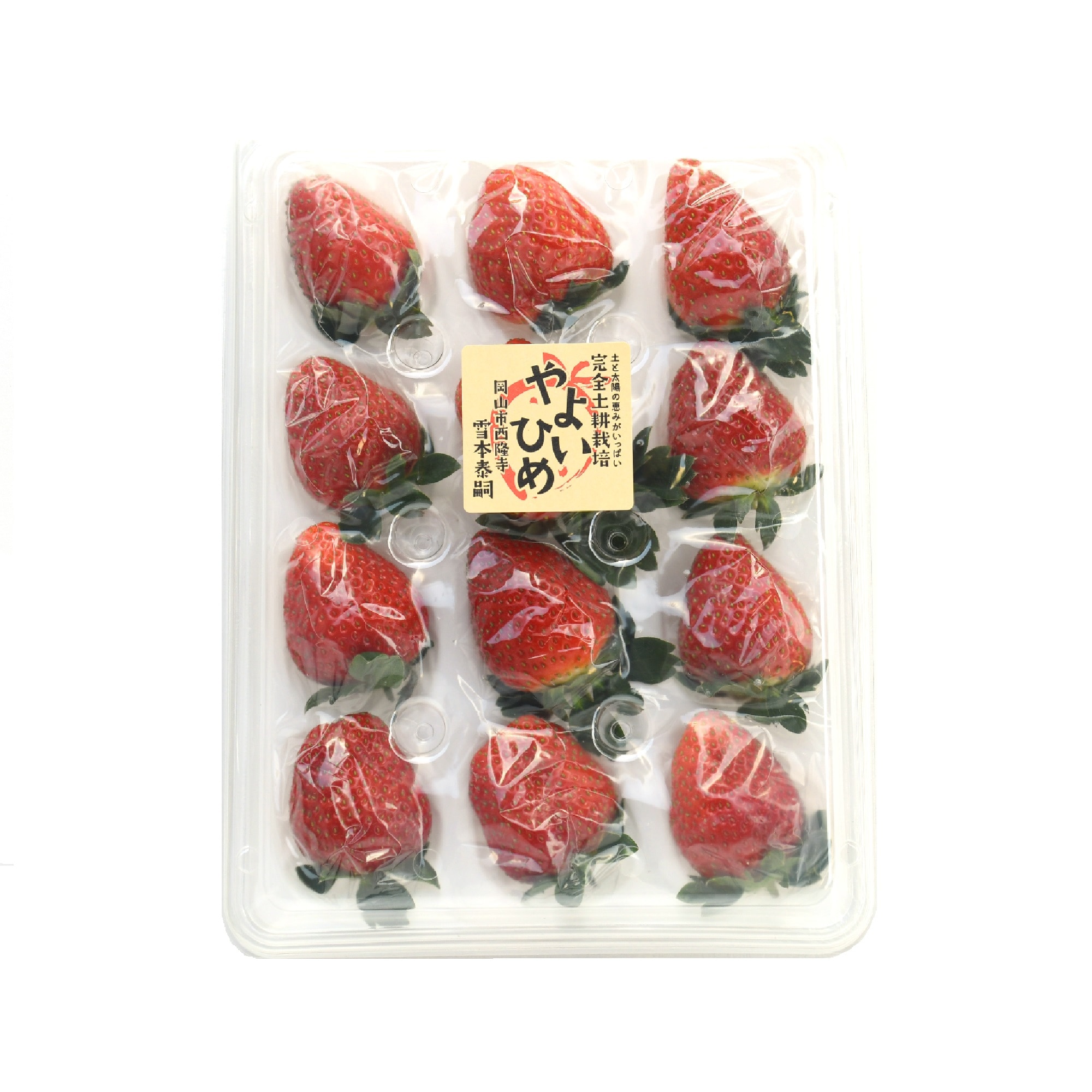 岡山県　雪本ふぁーむの完全土耕栽培いちごと建部ヨーグルトの詰め合わせ