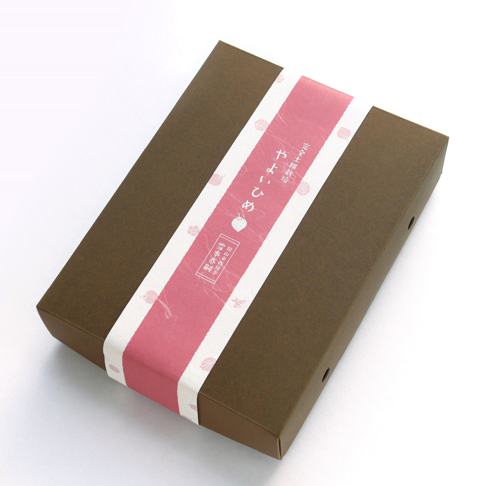 岡山県　雪本ふぁーむのいちご「やよいひめ」２Ｌ～３Ｌ（１２～１５粒）【ギフトにおすすめ】