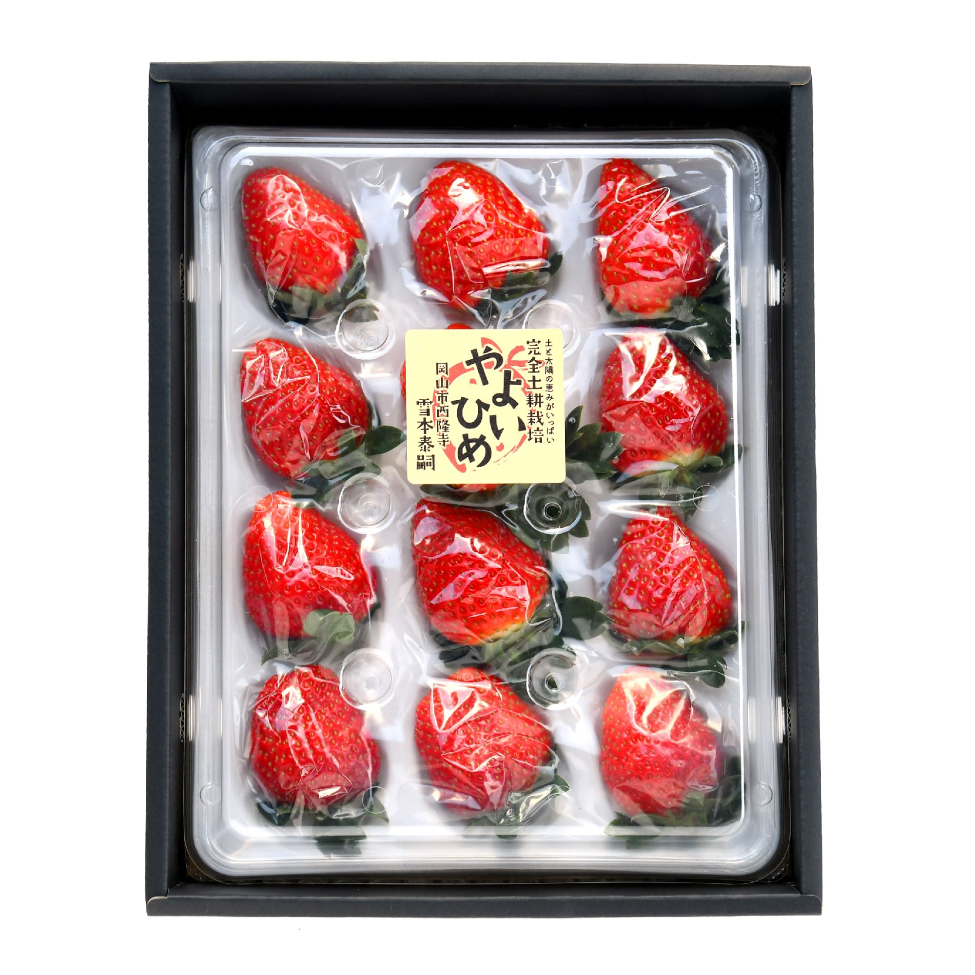 岡山県　雪本ふぁーむのいちご「やよいひめ」２Ｌ～３Ｌ（１２～１５粒）【ギフトにおすすめ】