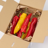 福島県産　れぎゅーむれぎゅーむの「フルーティなパプリカ」（大きさ不揃い）　約１ｋｇ