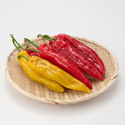 福島県産　れぎゅーむれぎゅーむの「フルーティなパプリカ」（大きさ不揃い）　約１ｋｇ