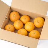 愛媛県産　無茶々園の「甘夏」サイズ混合・約３ｋｇ