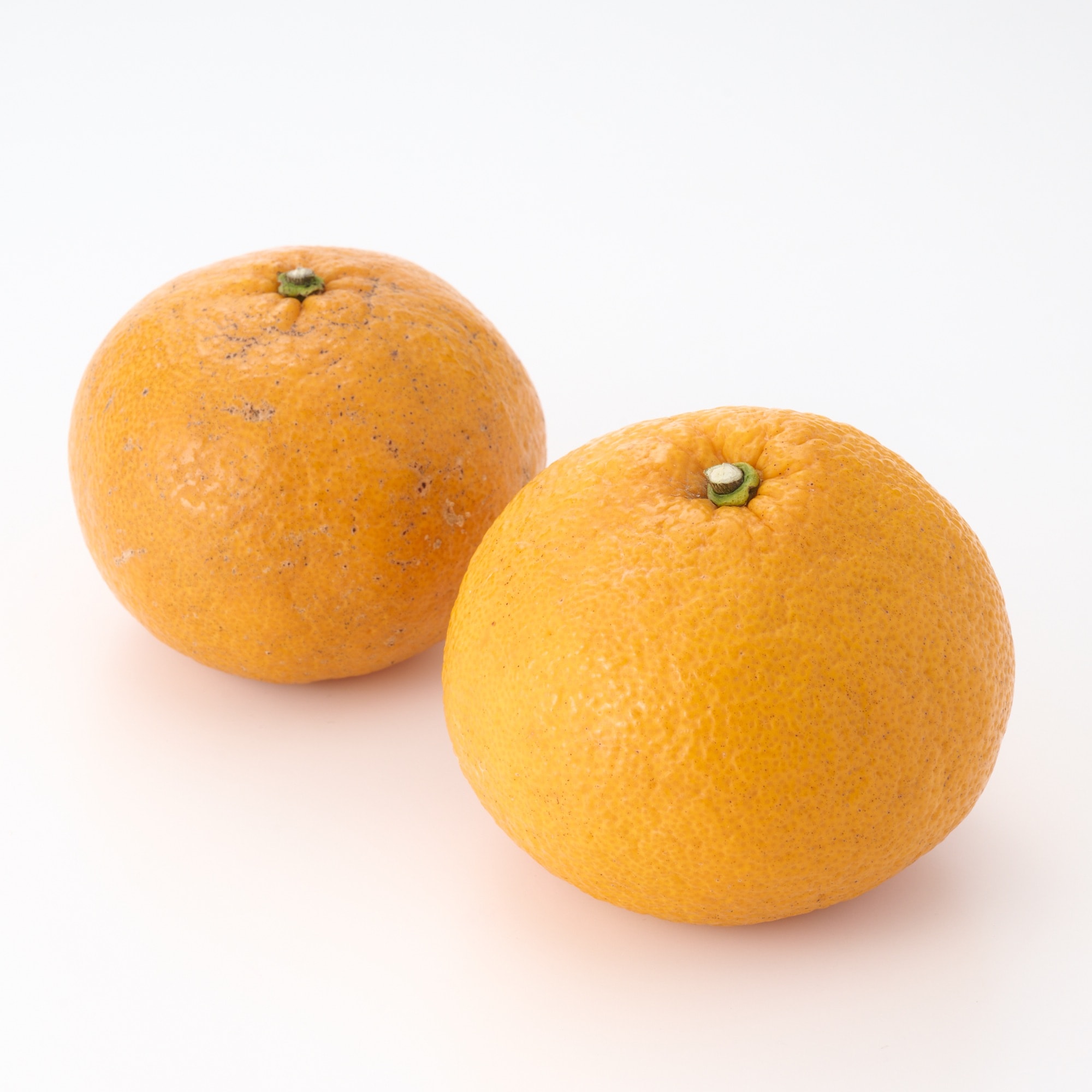 愛媛県産　無茶々園の「甘夏」サイズ混合・約３ｋｇ