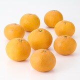 愛媛県産　無茶々園の「甘夏」サイズ混合・約３ｋｇ