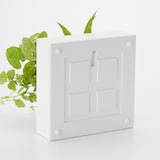 壁にかけられる観葉植物　白　４苗　Ｅ（２５）