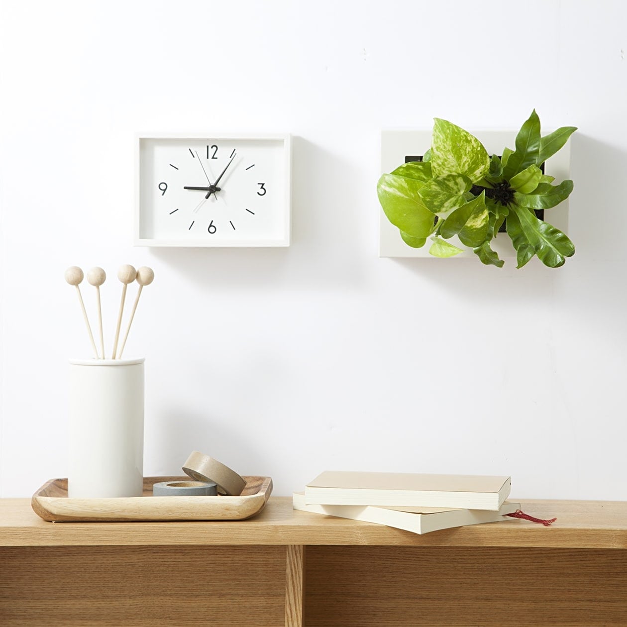 壁にかけられる観葉植物　白　２苗　Ｃ（２５）