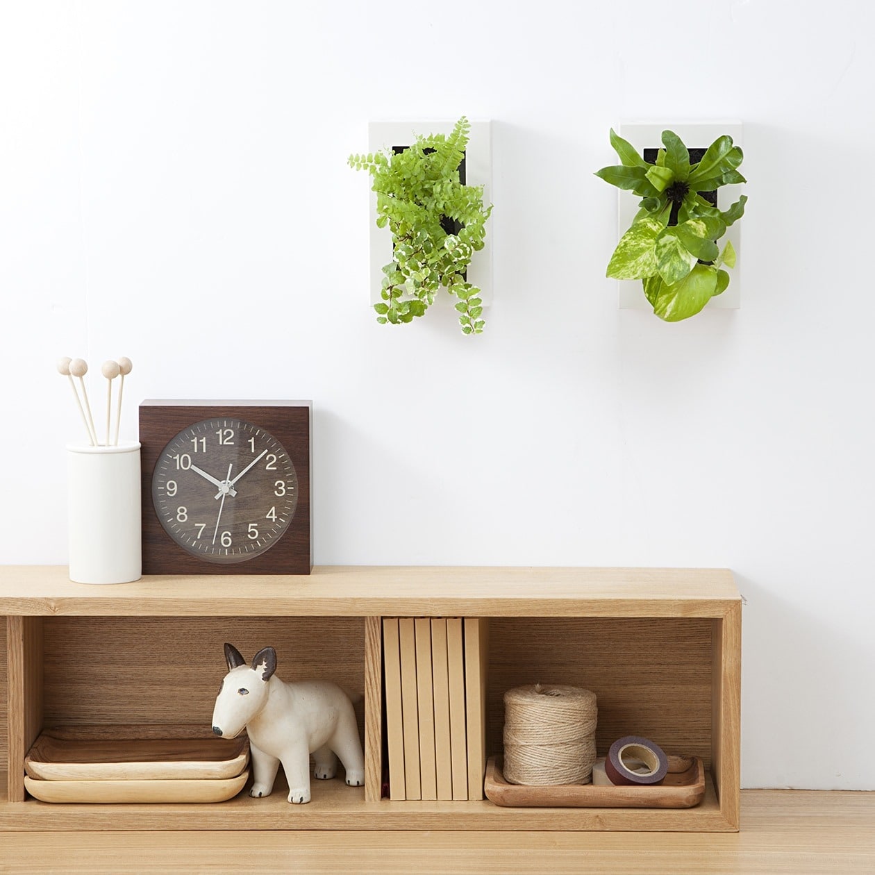 壁にかけられる観葉植物　白　２苗　Ｃ（２５）