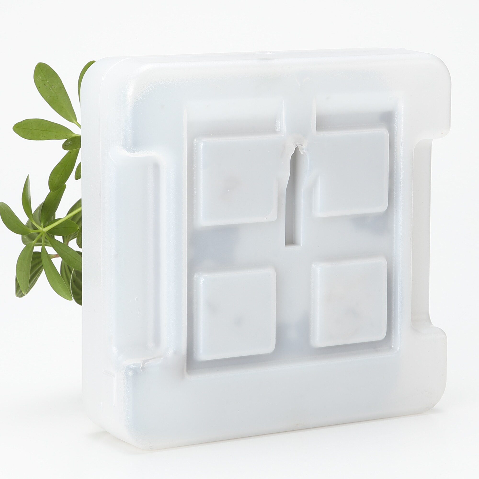 壁にかけられる観葉植物　透明　４苗　Ａ（２５）