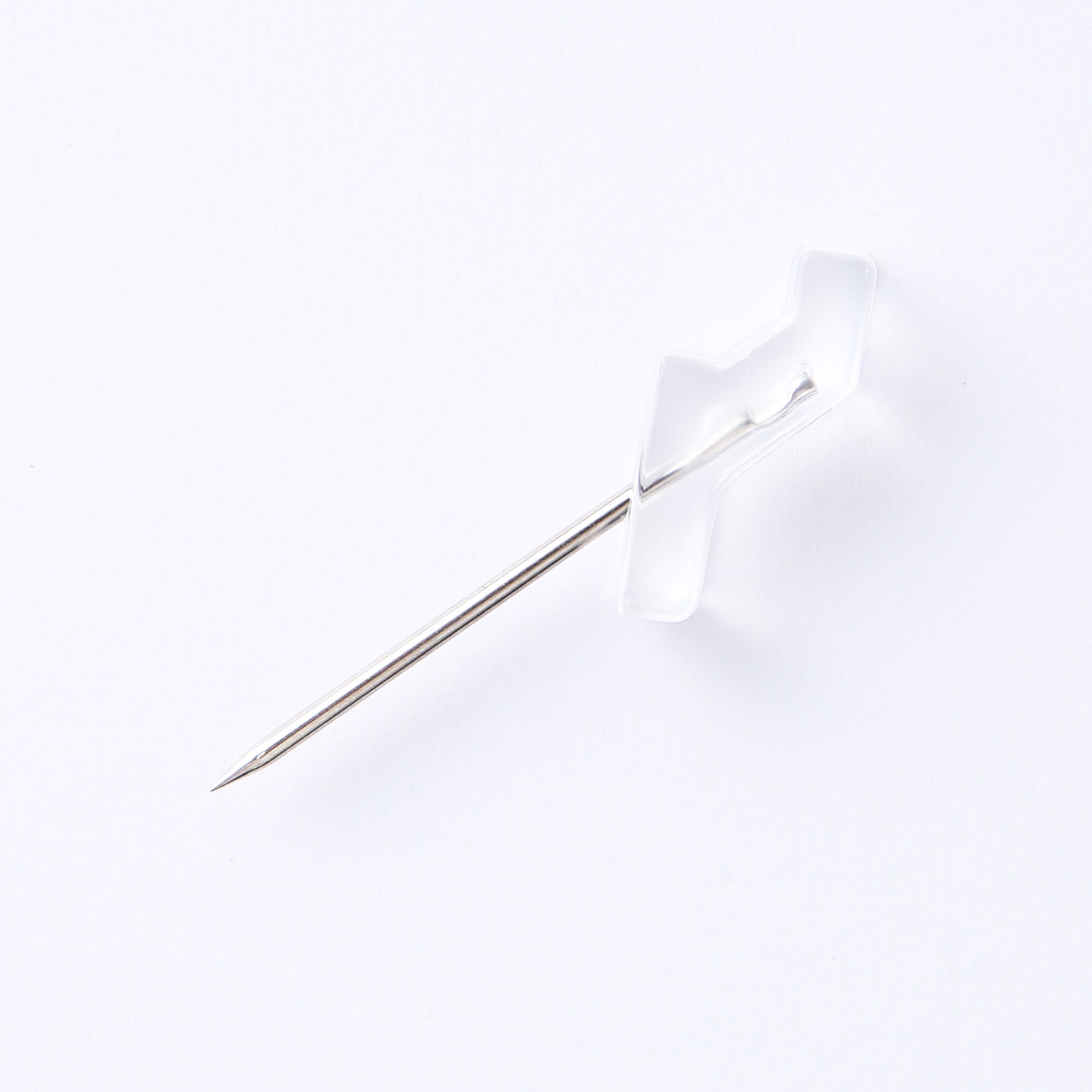 壁にかけられる観葉植物　透明　４苗　Ｃ（２５）