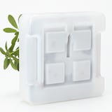 壁にかけられる観葉植物　透明　４苗　Ｅ（２５）