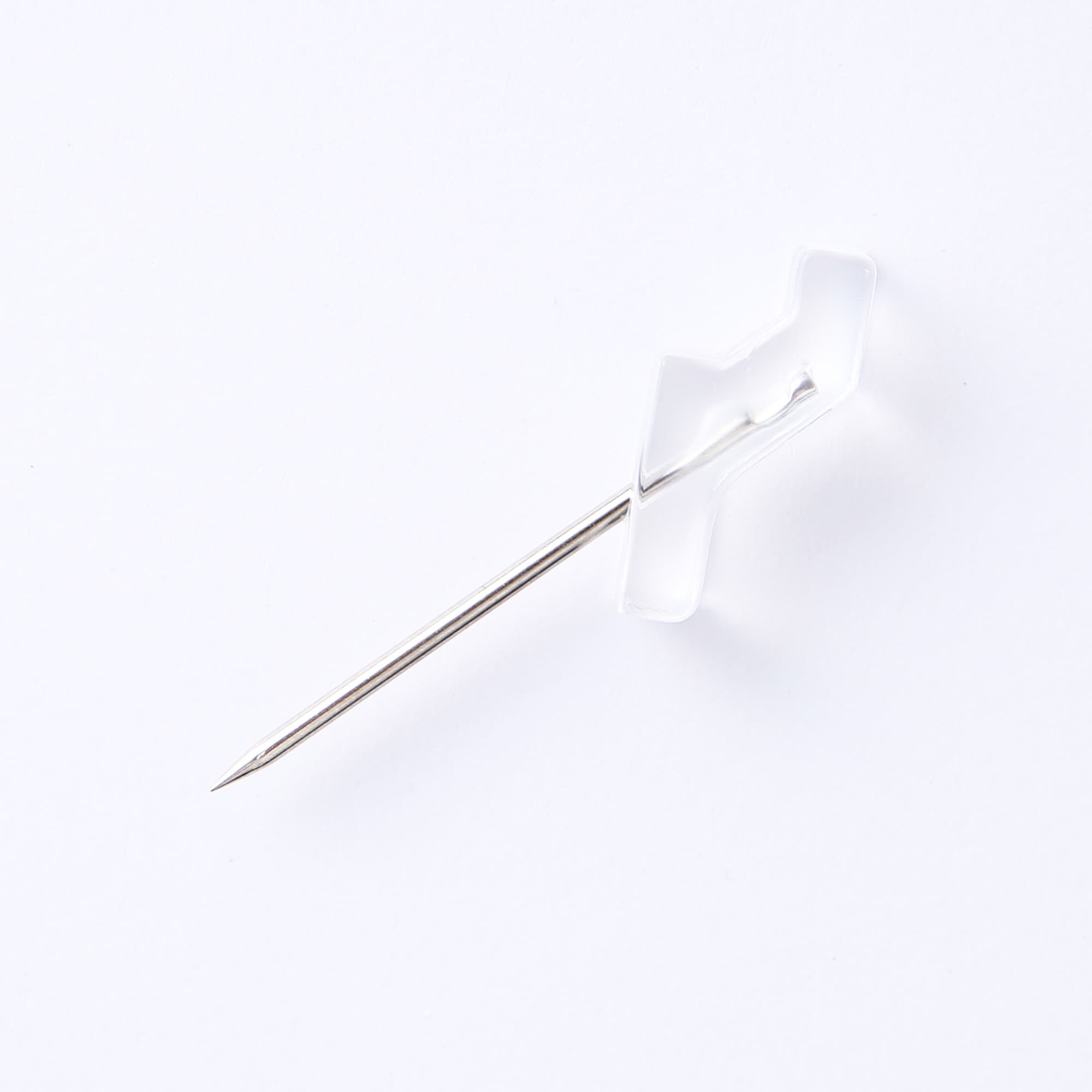 壁にかけられる観葉植物　透明　４苗　Ｆ（２５）