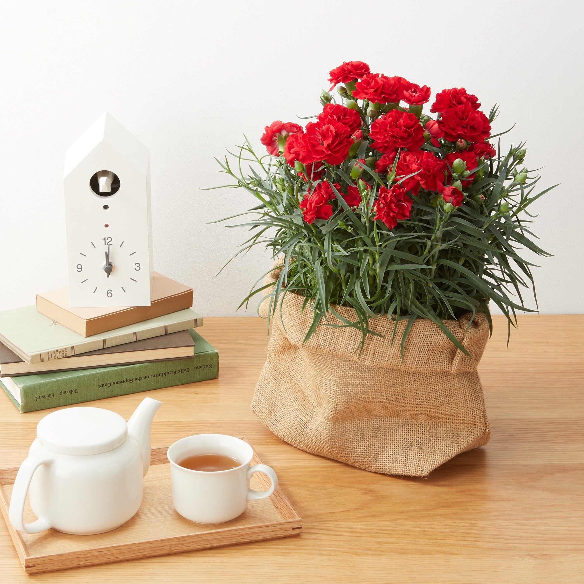 母の日　カーネーション　カンタービレ