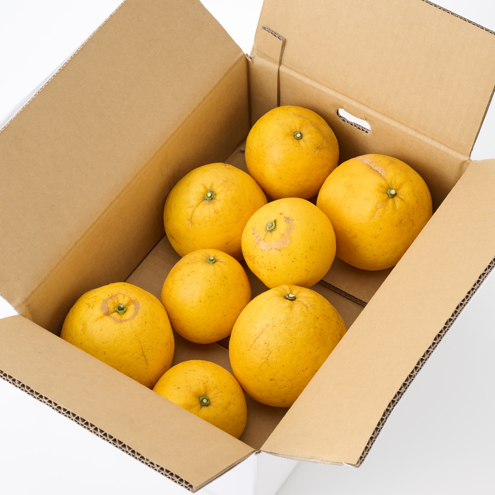 愛媛県産　無茶々園の「ジューシーフルーツ」サイズ混合・約3ｋｇ