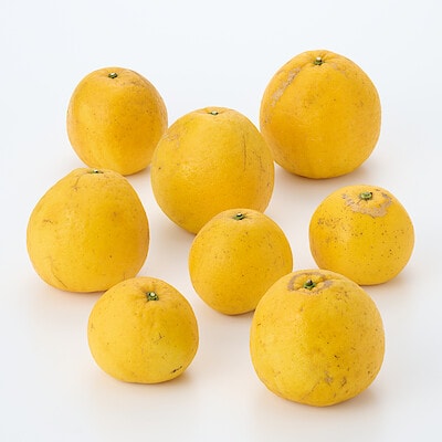 愛媛県産　無茶々園の「ジューシーフルーツ」サイズ混合・約3ｋｇ