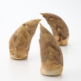 千葉県大多喜弓木産 ファーム渡辺の「白筍」 約２ｋｇ