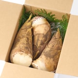 千葉県大多喜弓木産 ファーム渡辺の「白筍」 約２ｋｇ