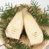 千葉県大多喜弓木産 ファーム渡辺の「白筍」 約２ｋｇ