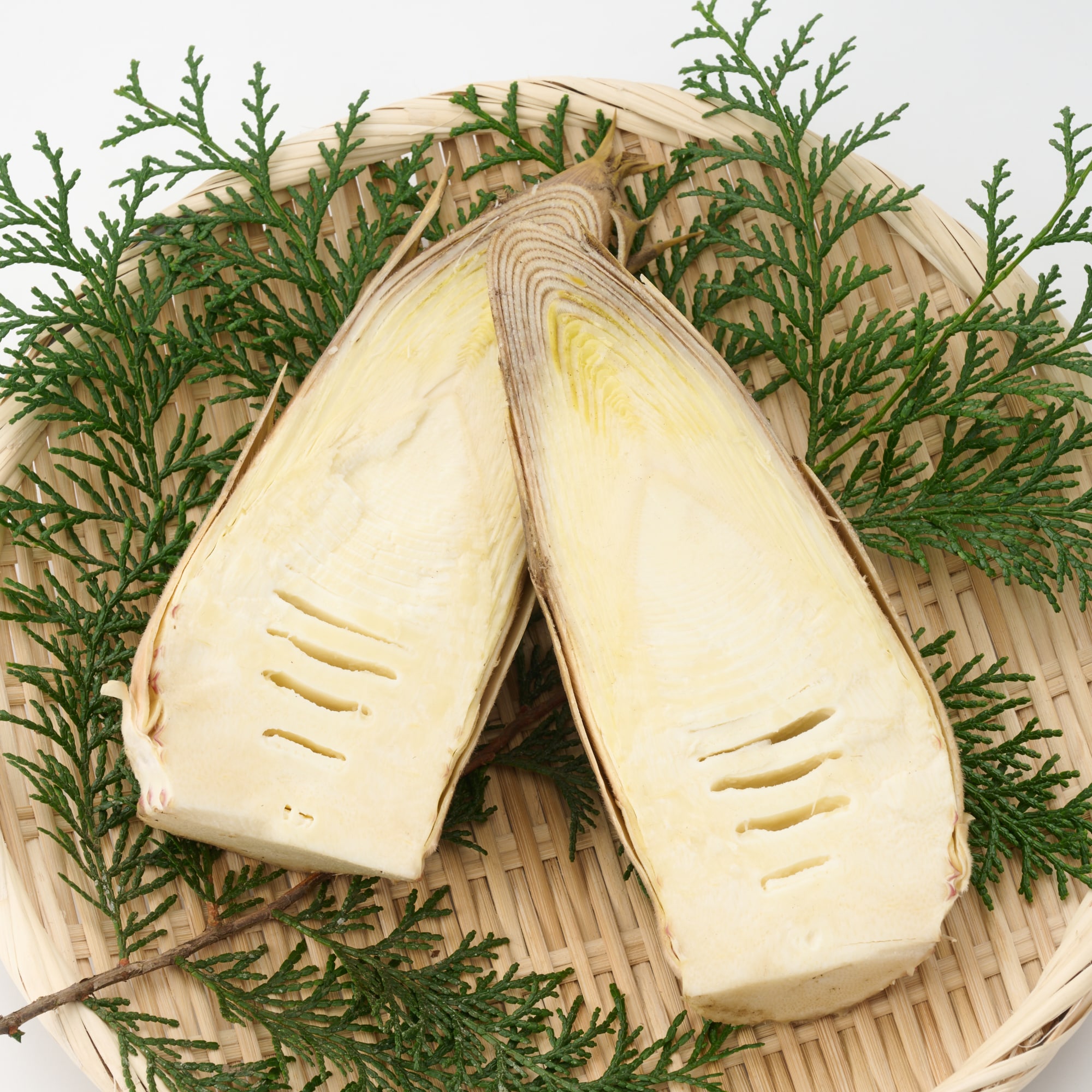 千葉県大多喜弓木産 ファーム渡辺の「白筍」 約２ｋｇ