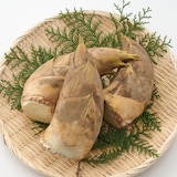 千葉県大多喜弓木産 ファーム渡辺の「白筍」 約２ｋｇ