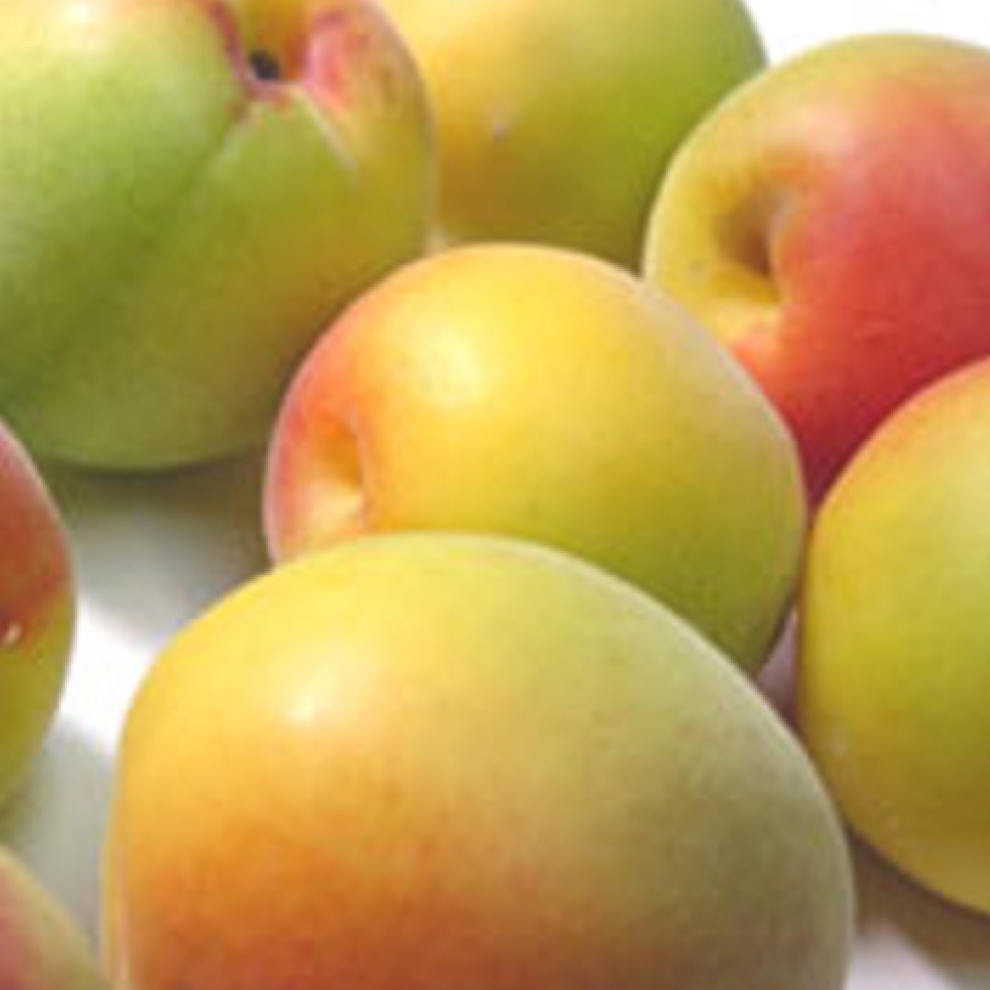   奈良県産　自然の恵み熊代農園の有機栽培梅（熟梅）「南高」　1ｋｇ 