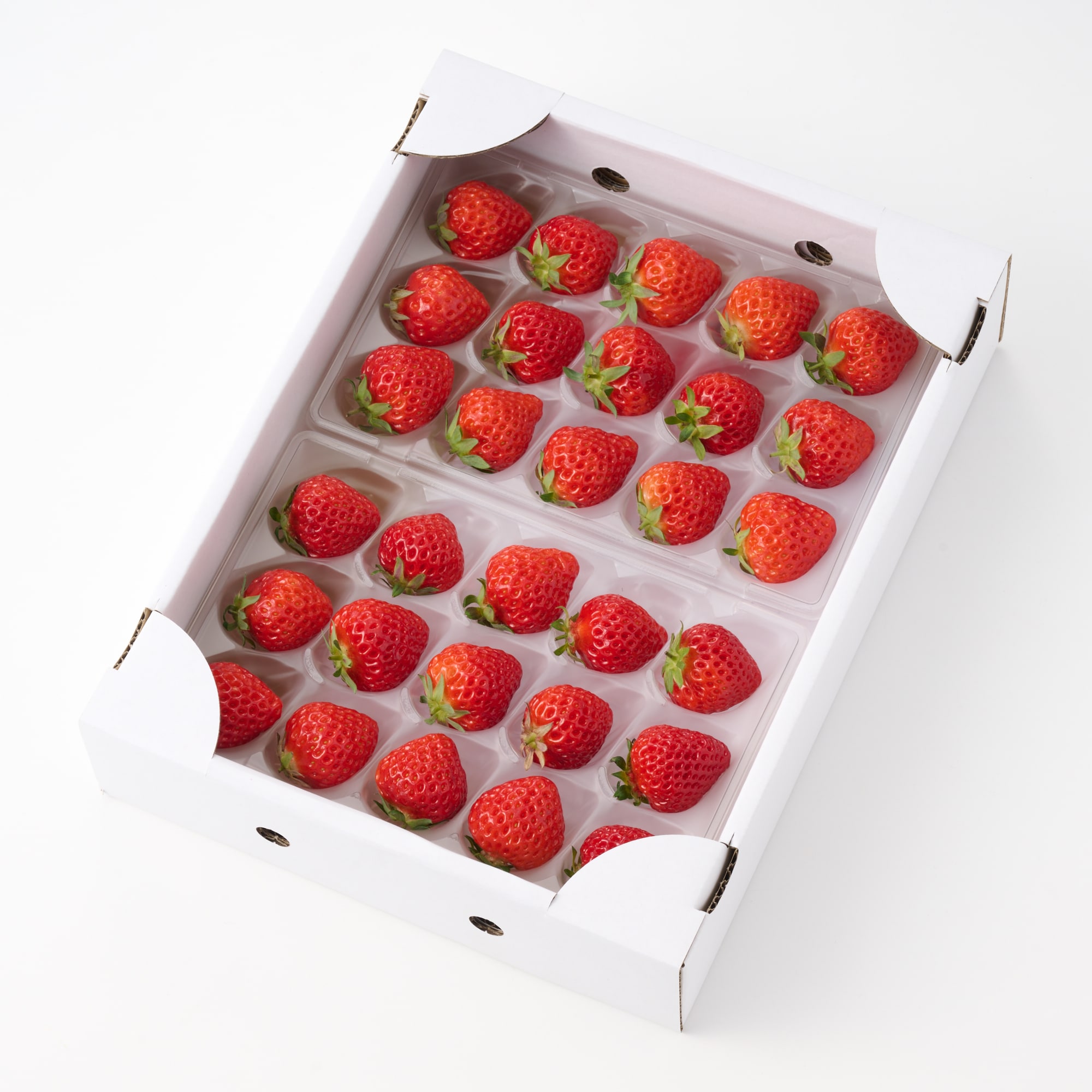 新潟県上越市　苺の花ことばの苺「越後姫」パクパクパック  １７０ｇ×２パック