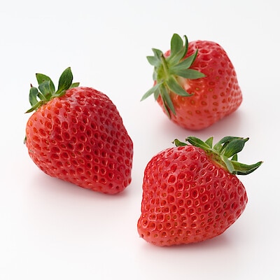 新潟県上越市　苺の花ことばの苺「越後姫」  ３５０ｇ　【ギフトにおすすめ】