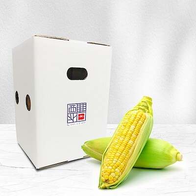 熊本県産　Ｋａｐｐｙ＆Ｆａｒｍのトウモロコシ「ドルチェドリーム」