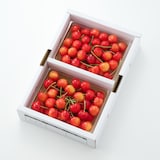 山形県産 すずき農園のさくらんぼ「紅秀峰」約７００ｇ