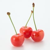 山形県産 すずき農園のさくらんぼ「紅秀峰」約７００ｇ