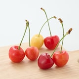 山形県産 百姓ワタナベのさくらんぼ「６種詰め」 約５００ｇ