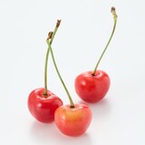 山形県産 百姓ワタナベのさくらんぼ「紅王ならず（山形C12号）」 約４５０ｇ