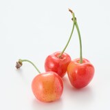 山形県産 百姓ワタナベのさくらんぼ「芳玉」約４５０ｇ