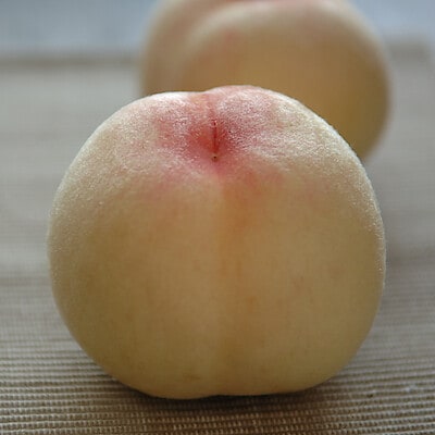 岡山県　総社もも生産組合の桃「白鳳」　約１．４ｋｇ（５玉）【ギフトにおすすめ】