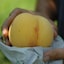 岡山県　総社もも生産組合の桃「黄ららのきわみ」　約１ｋｇ（３玉）