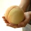岡山県　総社もも生産組合の桃「西王母」大玉　３玉