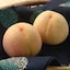岡山県　総社もも生産組合の桃「陽だまりの詩」約２ｋｇ（５～７玉）【ギフトにおすすめ】