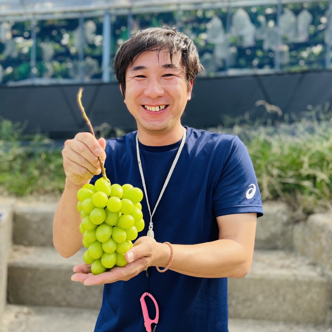【３回お届け】岡山県　桃・ぶどう２種食べ比べ