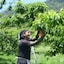【３回お届け】岡山県　桃・ぶどう２種食べ比べ